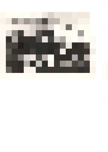 Фотография ч/б. учителя школ Тюменцевского района в музее Тюменцевской средней школы