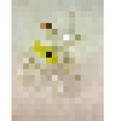 Скульптура «Лиса»