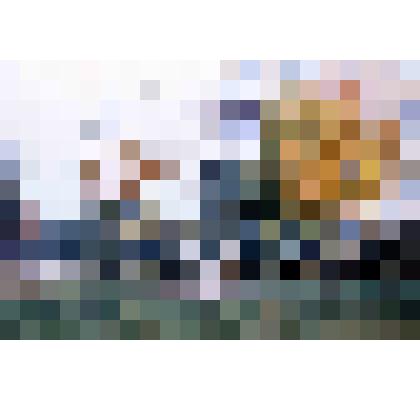 Диапозитив. (395)