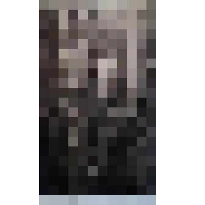 Гравюра. Седло для Буланого.
из серии "В конноспортивной школе"