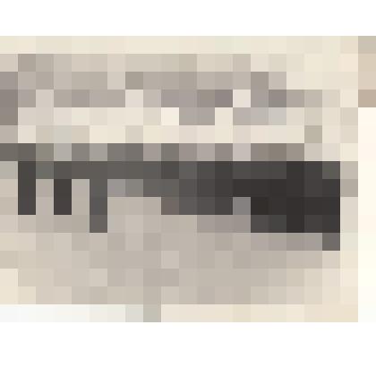 Ф/чб. Вынос знамени Энгельсского военно-морского училища во время построения курсантов. Энгельс. 1949