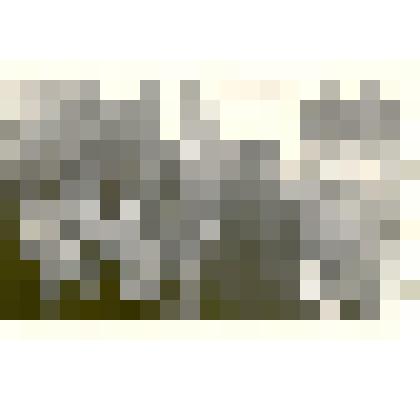 Фотография: митинг на стадионе г.Камня-на-Оби Алтайского края, посвященный 40-летию советской пионерии