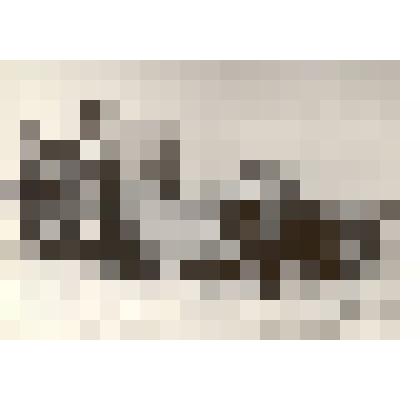 Фотография: уборка сена комбайном СК-3 в совхозе имени Крупской Панкрушихинского района Алтайского края