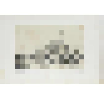 Литография. "Санкт-Петербург. Деревня на Московской дороге."