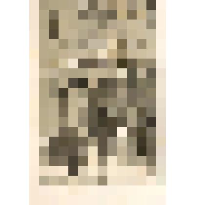 Литография. "Троицкий монастырь. Московская губерния. Собор Богоматери. Боковой портал."