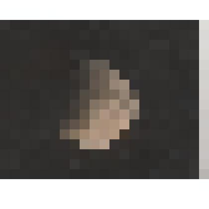 Фотография. Снимок Луны во время затмения. 9 января 1982г