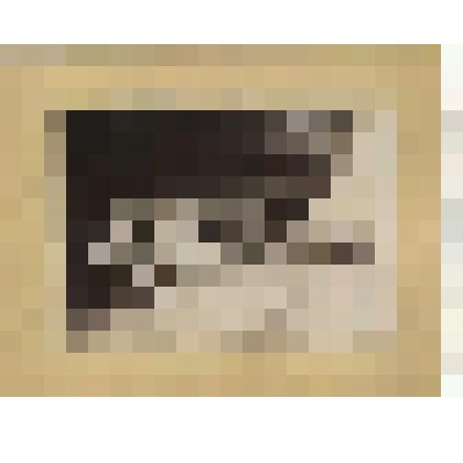 Фотография. Горбатовский уезд, с. Богородское. Кожевенное производство. Сыромятня