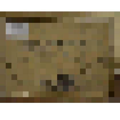 «Взморье. В знойный день на Каспии». Картина