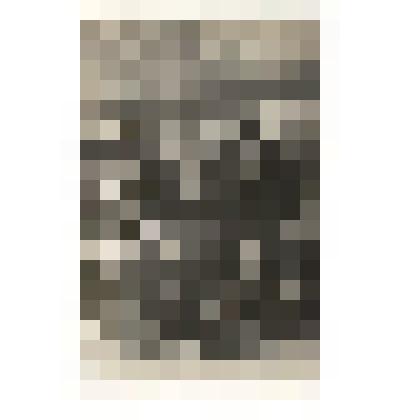 Фк/чб. Семья поволжских немцев-колонистов (муж и жена с ребенком). 1910-1920-е