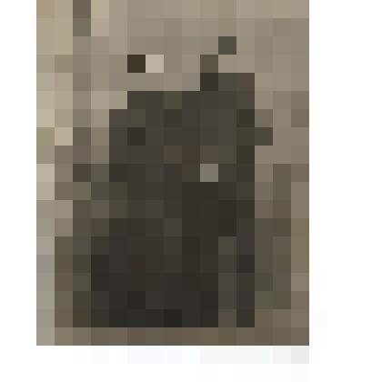 Ф/чб. Супружеская пара поволжских немцев-колонистов (типовой портрет). 1910-1920-е. /Экспедиция Г. Дингеса