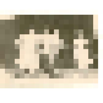 Фотография: танцевальная группа участников смотра художественной самодеятельности 51 совхоза Каменского района в г.Камень-на-Оби