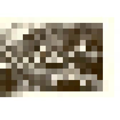 Фотография. Встреча трех поколений у памятника, посвященного 10-летию Советской власти