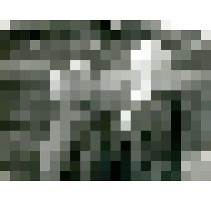 Фотография. Девушки эвенки