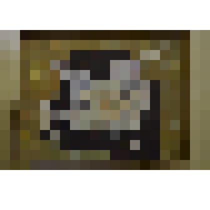 «Коряга». Картина