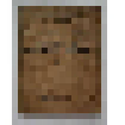 Книга. Как правильно разделать срубленное дерево.  Свердловская тип. "Гранит"