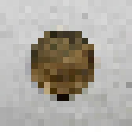 Монета советская достоинством 2 коп