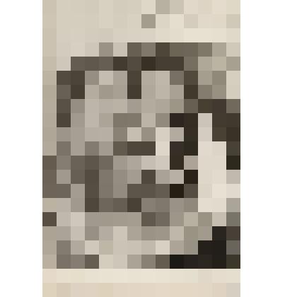 Фотография. Гребенщикова Анна Васильевна с боевыми подругами