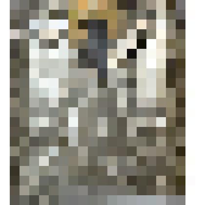 Оклад от иконы "Святой Иоаникий Великий"