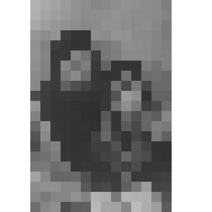 Фотография. Артист Мосин-Новосельский Михаил Сергеевич