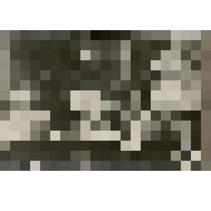 Фотография из фотоальбома. Соврудники 1927-1929гг. - тайга, рабочие, драги