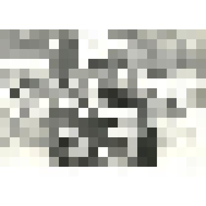 Фотография. Сонин на встрече партизан-сабуровцев. Брянский лес