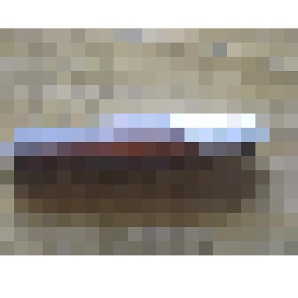 Белемнит, обломан с одной стороны