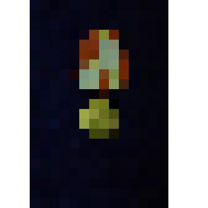 Медаль юбилейная 1979г. «60 лет вооруженных сил СССР»