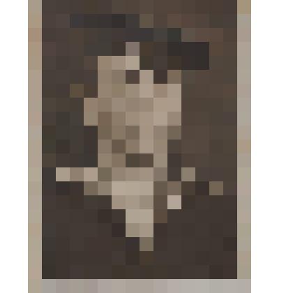 Фотография черно-белая с изображением Варжавитина Георгия, служившего на Черноморском флоте