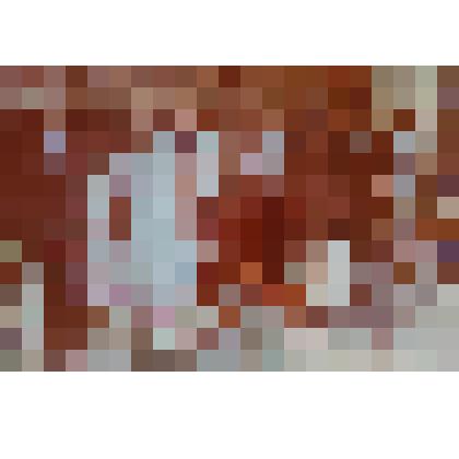 Фотография В. Н. Баварин на выставке цветов, проходивший в рамках дня города