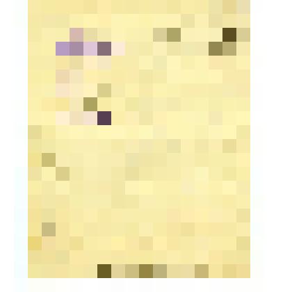 Предписание земского начальника 3-го участка Воскресенскому волостному старшине о доставке дров Чуженгскому училищу от 10 января 1895 года