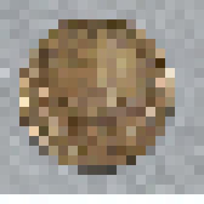 Монета СССР 1 копейка