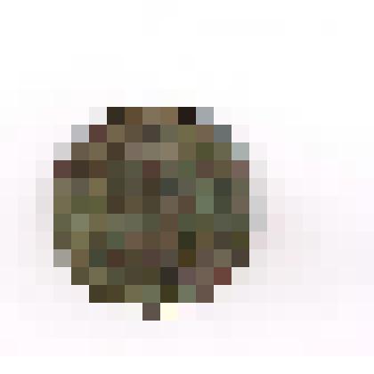 Монеты Российские. 1 копейка