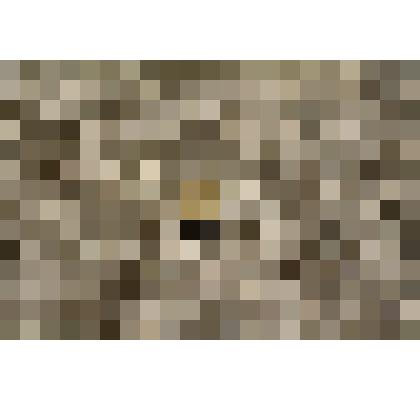 Монета Казахстана 1 ТЕНГЕ 2000 г