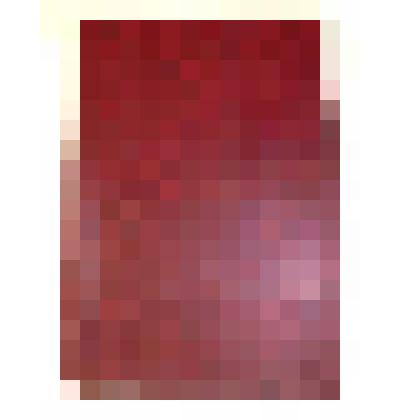 Документ. Выпускная квалификационная работа Семенченко Елены Николаевны "Менеджмент возрождения, сохранения и развития традиционной культуры малочисленных народов Севера Ханты-Мансийского автономного округа - Югры", Тюмень, 2012г