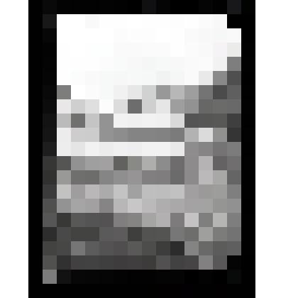 Негатив. Комплекс "Красные ворота" государева двора. Село Коломенское