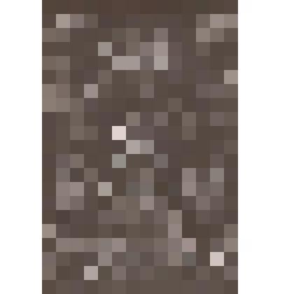 Иллюстрация. Таблица № 73. Выпуск "14-16".
 Из комплекта таблиц "Красота форм в природе"