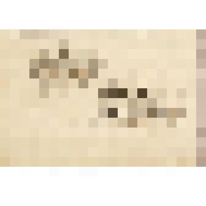 Два финляндских пейзажа, из альбома  «190 пейзажей; зарисовки, иллюстрации, карикатуры»