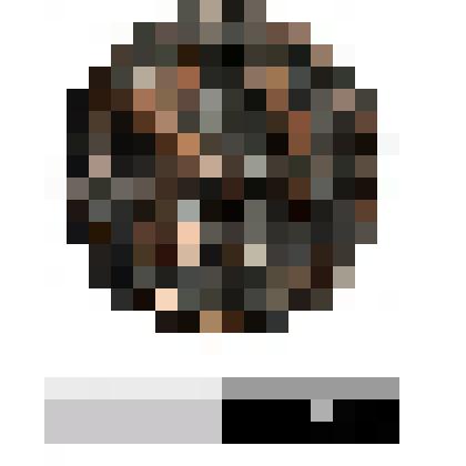 Монета бронзовая, статер