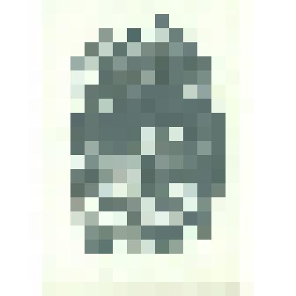 Экслибрис «Из книг Владимира Пичугина».1973