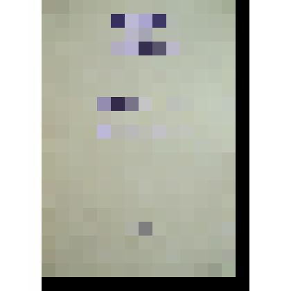 Программа о Социально-экономическом развитии Магаданской обл