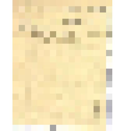 Документ. Записка Главного Механика Нагорского о получении денежного пособия в размере 350 рублей