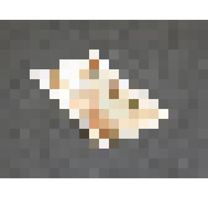 Карта. из колоды для игры в преферанс и вист