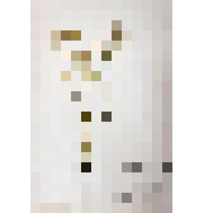 Гербарий
Крестовник весенний