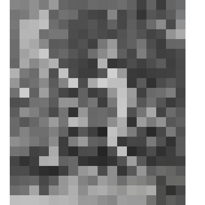 Иоанн Креститель