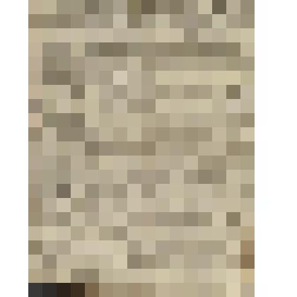 Газета. Русское знамя. № 238 (2 л.;)