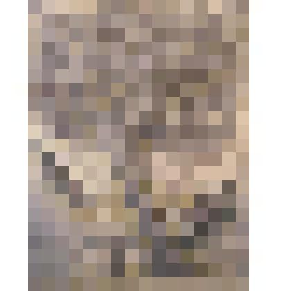 Печатный лист. Солнечный день