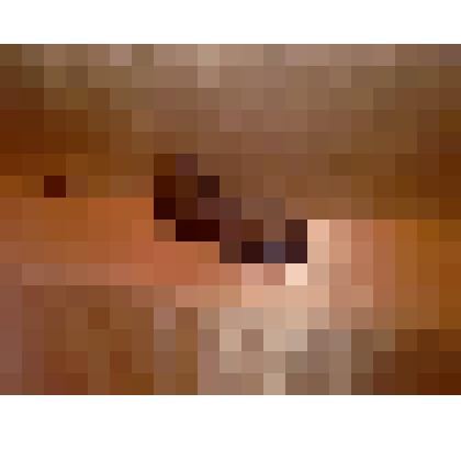 Колодка обувная