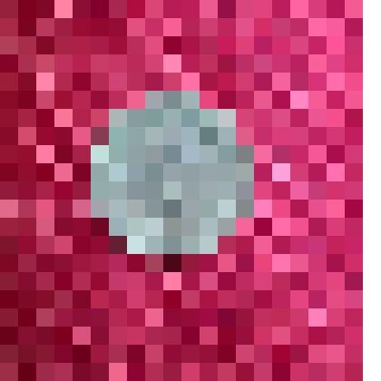 Монета 1 копейка 1924 года