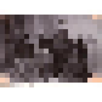 Фотография. Группа женщин (стоит Копенкина Елизавета) в интерьере фотосалона