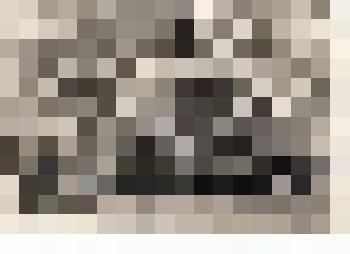 Ф/чб. Санитарный отдел 60-й Армии. 1: Ерофеев, Сюткин, Брегинский, Троицкий, Фэндлянд, Успенский, Россанов, Колегаев, Чурсанов. 2: Позин М., Колмаков, Лепарский, Плетнев, Быков, Морозова, Себрро, Лизарская, Козлов и др.). Чехословакия. 18.05.1945